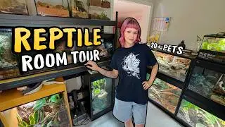 My Final Reptile & Tarantula Room Tour...