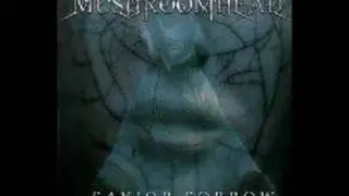 MushRoomHead - Along The Way