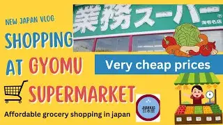 Affordable grocery shopping in Japan Supermarket Gyomu.