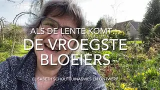 DE VROEGSTE BLOEIERS: ALS DE LENTE KOMT