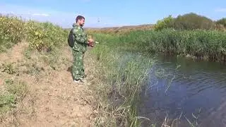 река Донская Царица. Калачевского района, окрестности х.Ярки-Рубежный