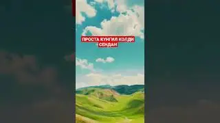 Проста кунгил колди сендан #funny #mitti #comedy #dance #туркия