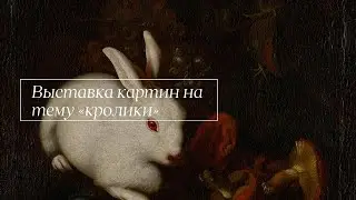 Art Exhibition On Rabbits