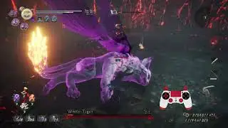 Kitty gets Sword of Meditation'ed