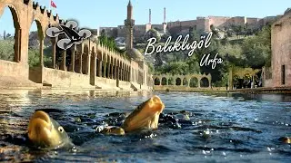 Şanlıurfa / Balıklıgöl 🎬