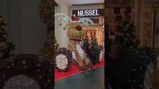 Das ganze Weihnachtsgeschenkegeld wird rausgehauen! #shorts #shopping #vlog