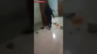 Terciduk..!! SUAMI lagi wik wik sama Pelakor dirumah kos.