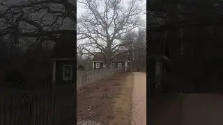 У Лукоморья дуб зелёный.. вот этот самый дуб