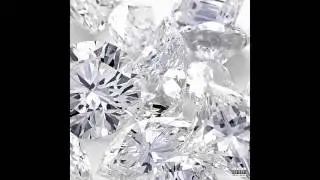 Plastic Bag - Drake & Future