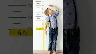 AR Measure - Tape Ruler