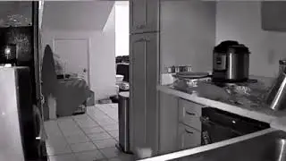 Kitchen foil VS Cat 🐱‍🏍🐱‍🏍🐱‍🏍 #shorts #chaos #catmemes #cat #meme #trending