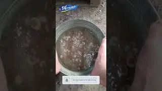 У кожного своє море, у мене таке, з мушлями. Everyone has their own sea, mine is the one with shells
