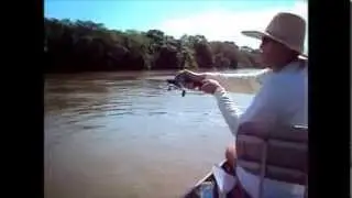 Pescaria de Piapara no Rio Mogi Guaçu - V3