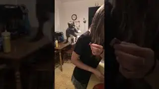 Хочешь вкусняшку?