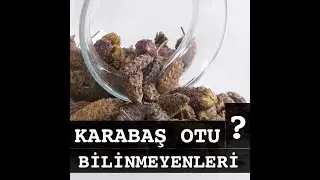 KARABAŞ OTU / BİLİNMEYENLERİ   