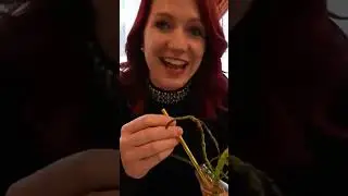 This is how all cock-tails should be served honestly