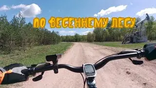 По весеннему лесу 30 апреля 2024 #вело