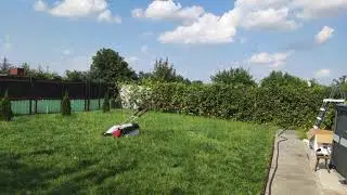21 августа 2021 г.(3)
