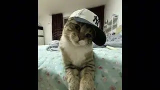I’m so f*cked up please help me - but slowed correctly