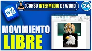🔵 how to FREELY MOVE an image in WORD