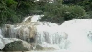 Cascadas De Agua Azul,Celestun y CenoteEn Valladolid