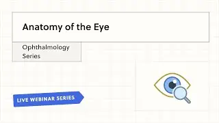 Anatomy of the Eye - Ophthalmology Series