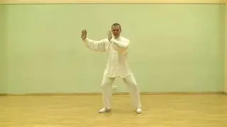 Taiji Chen Romanov R   ч 1- Комментарии к движениям первого комплекса