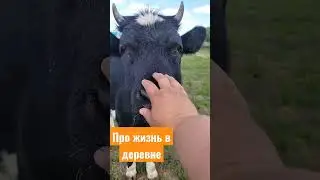 Про жизнь в деревне
