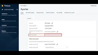 WEB API ANAHTARI GÖZÜKMÜYOR - Firebase web api key not showing