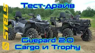Первый тест-драйв Stels Guepard 2.0 Cargo 800 и Trophy 850