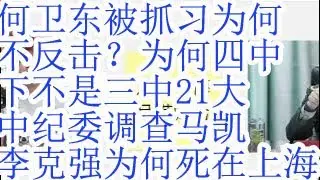 何卫东被抓，习为何不反击？习为何不救何卫东。习为什么四中下不是三中或21大？中纪委调查前副总理马凯。申长友和李克强为什么死在上海？