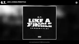 G.T. - Like A Jungle (Freestyle) (Official Audio)