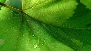 Tutorial Photoshop crear GOTAS de AGUA (water drops)