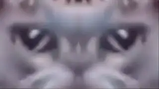 телевизор туту телевизор тутуту но это зеркало