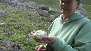 Поход к малоизвестным местам Скалистого хребта, день первый
