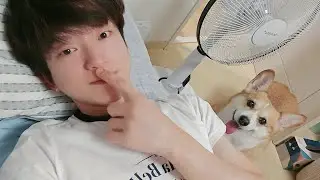 잠방 sleep stream 23