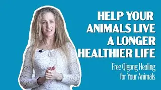Qigong Healing for Animals