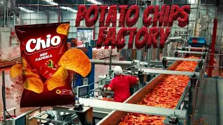 From Farm to Crunch: The Secret Process Behind Making Potato Chips
