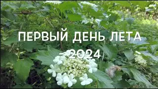Первый день лета   2024