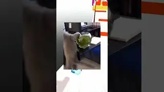Спорим я заставлю тебя засмеяться?😨 