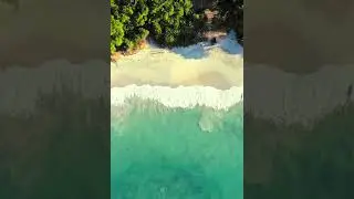 Magic with Smooth CINEMATIC Transitions 