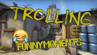CSGO - FUNNY MOMENTS & TROLLING DOGS