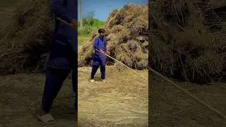 کیسی لگی ویڈیو 🥰