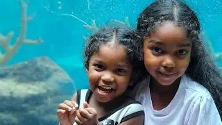 Huge Aquarium in Atlantis Bahamas | TRINIDAD YOUTUBE