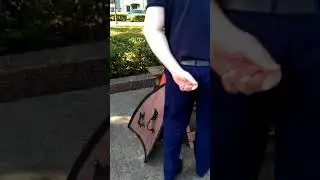 VIDEO0015