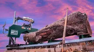 Watch This Before Buying a Sawmill