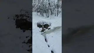 пригород не всё скрывает снег