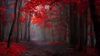 Ludovico Einaudi -  La Profundità Del Buio