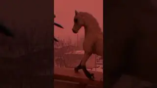#лошади шляйх#врек