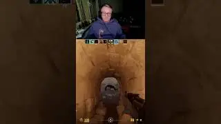 Krecik 